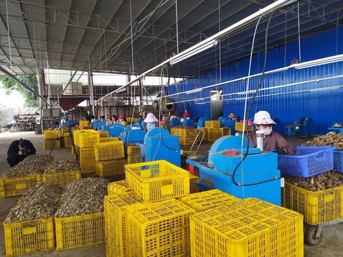 節(jié)氣不等人，春日勝黃金 把握旅游業(yè)務(wù)的季節(jié)脈搏